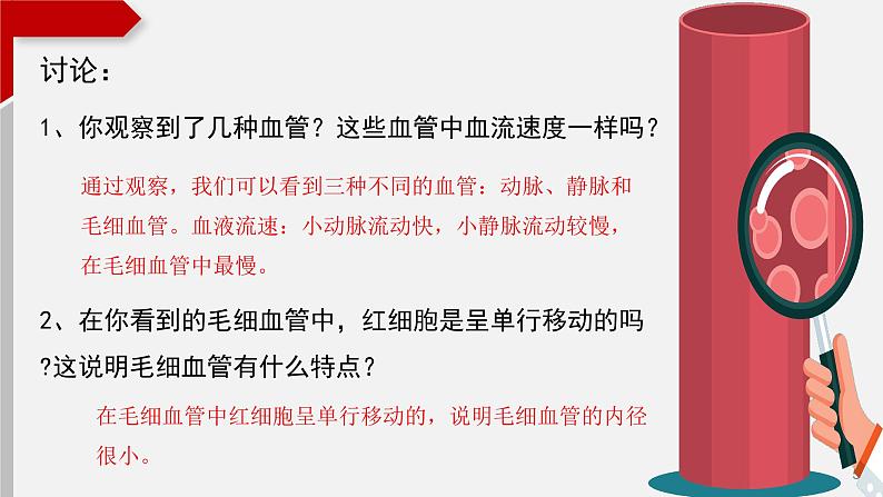 4.4.2血液流通的管道——血管课件05