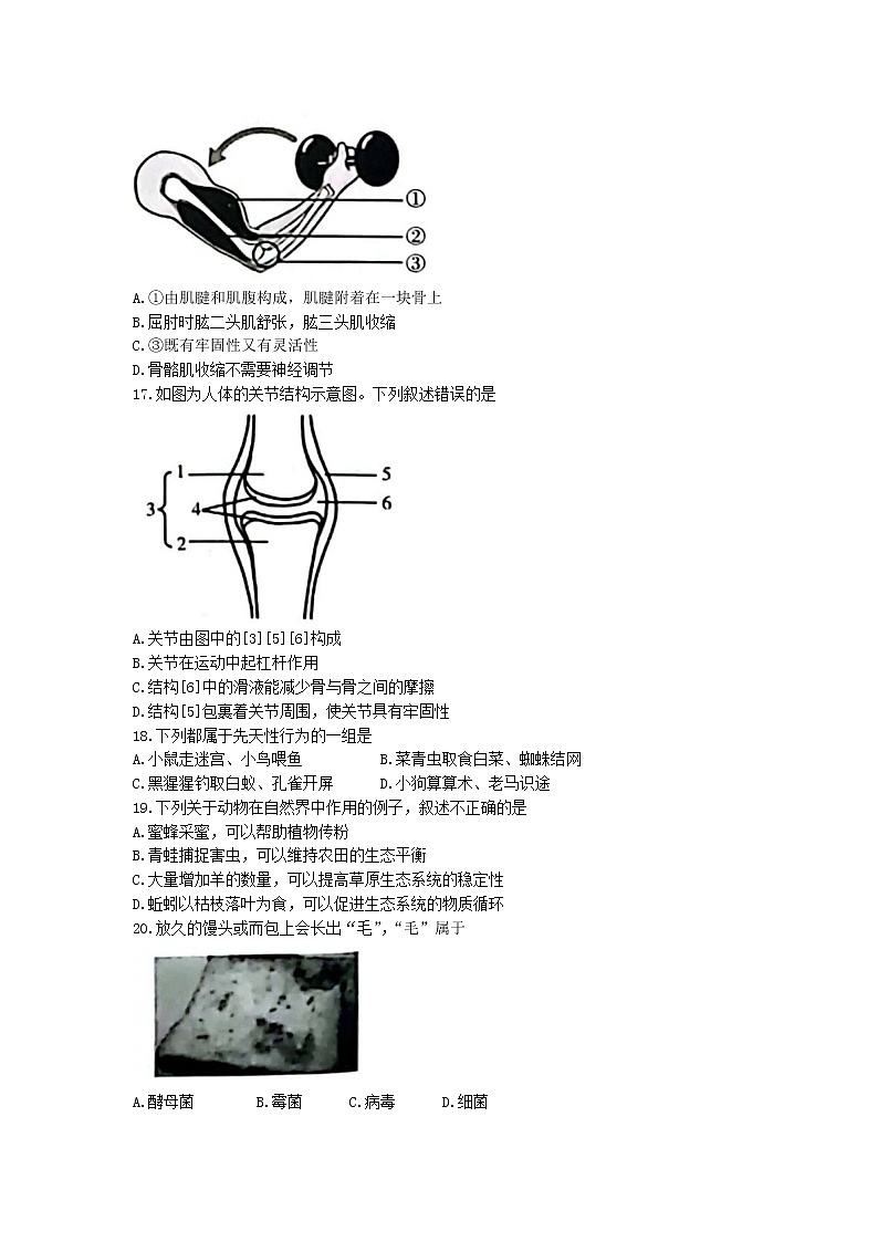 河北省沧州市2022-2023学年八年级上学期期末生物试题03