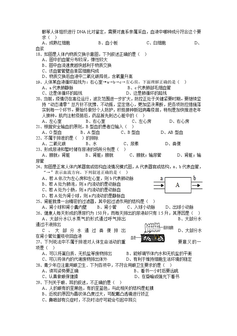 广东省汕头市潮阳区实验学校2021-2022学年七年级下学期期末考试生物试题第3页