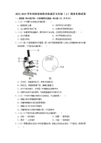 河南省南阳市宛城区2022-2023学年七年级上学期期末生物试卷