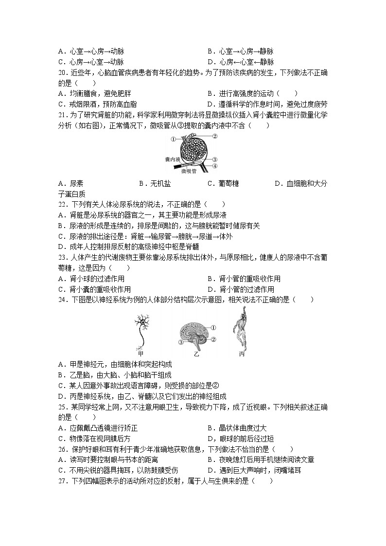 陕西省榆林市米脂县2020-2021学年七年级下学期期末生物试题03