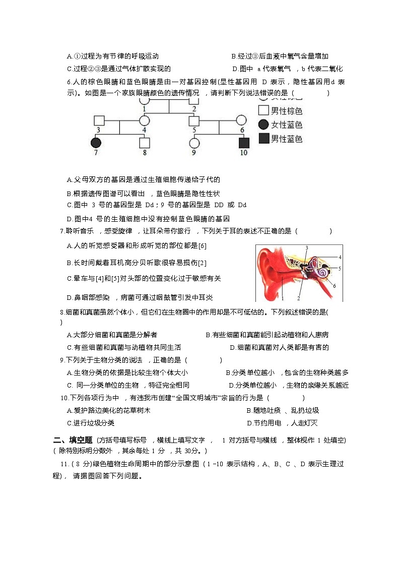 2022-2023学年湖北省咸宁市中考生物专项提升模拟试卷（含解析）第2页