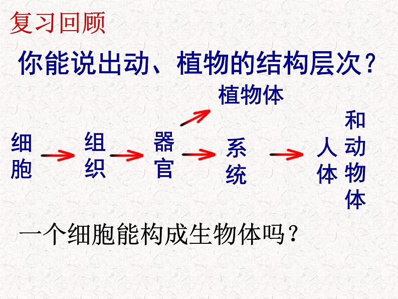 苏科版七下生物 9.3 单细胞的生物体 课件01