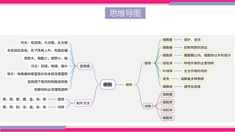 中考生物一轮复习讲练测--专题02 细胞是生命活动的基本单位（精品课件）第5页