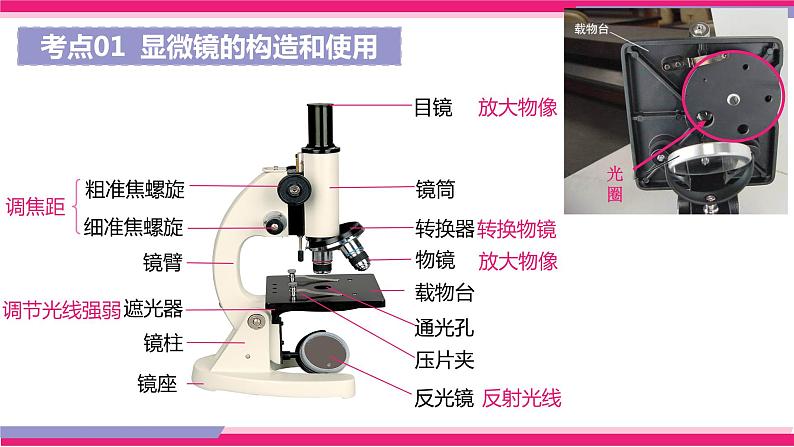 中考生物一轮复习讲练测--专题02 细胞是生命活动的基本单位（精品课件）第6页