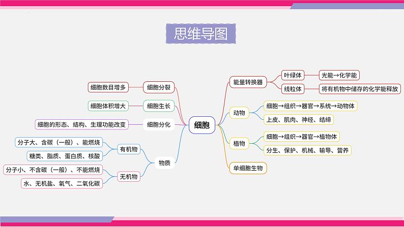 中考生物一轮复习讲练测--专题03 细胞怎样构成生物体（精品课件）05