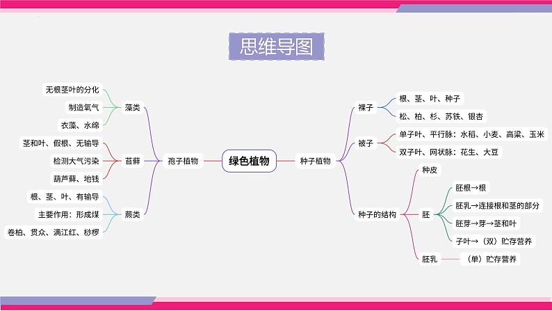 中考生物一轮复习讲练测--专题04 生物圈中有哪些绿色植物（精品课件）第5页