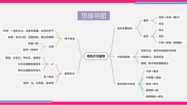 中考生物一轮复习讲练测--专题05 被子植物的一生（精品课件）第5页