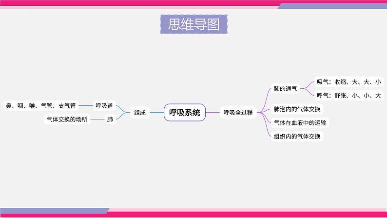 中考生物一轮复习讲练测--专题11 人体的呼吸（精品课件）05