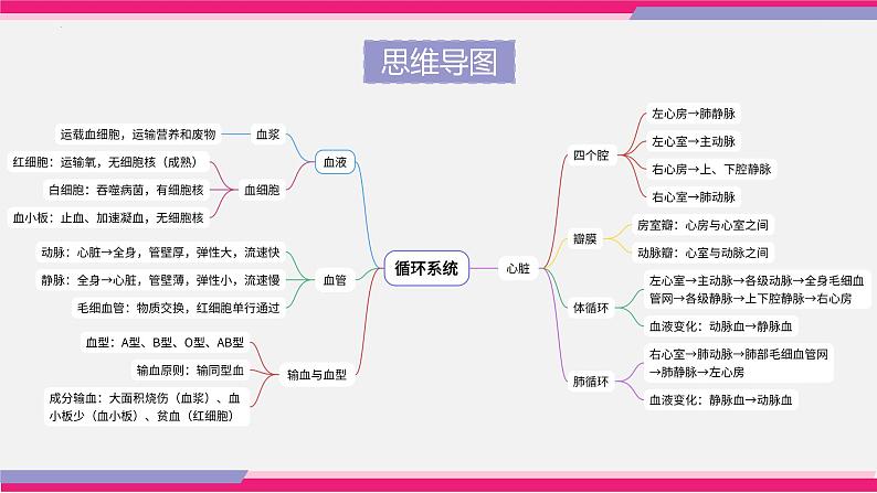 中考生物一轮复习讲练测--专题12 人体内物质的运输（精品课件）05