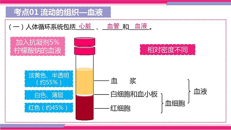 中考生物一轮复习讲练测--专题12 人体内物质的运输（精品课件）06