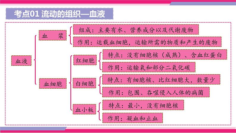 中考生物一轮复习讲练测--专题12 人体内物质的运输（精品课件）08