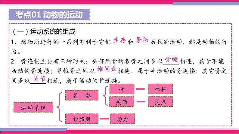 中考生物一轮复习讲练测--专题16 动物的运动和行为+动物在生物圈中的作用（精品课件）06