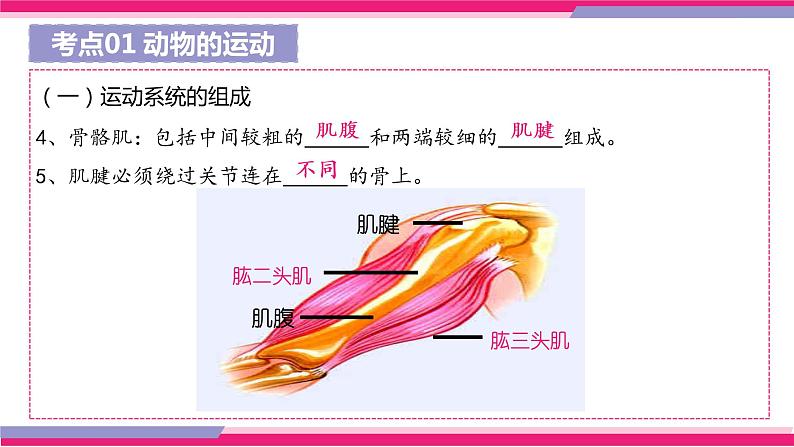 中考生物一轮复习讲练测--专题16 动物的运动和行为+动物在生物圈中的作用（精品课件）08