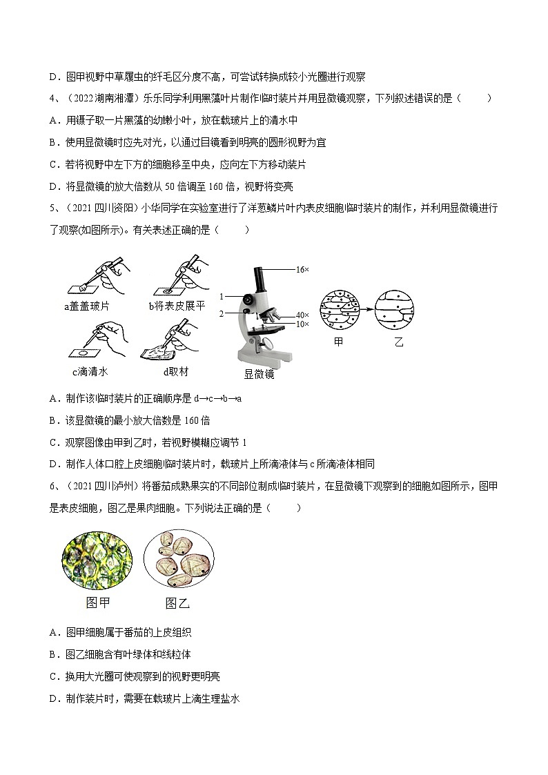 中考生物复习--专题02 细胞是生命活动的基本单位（原卷版解析版）第2页