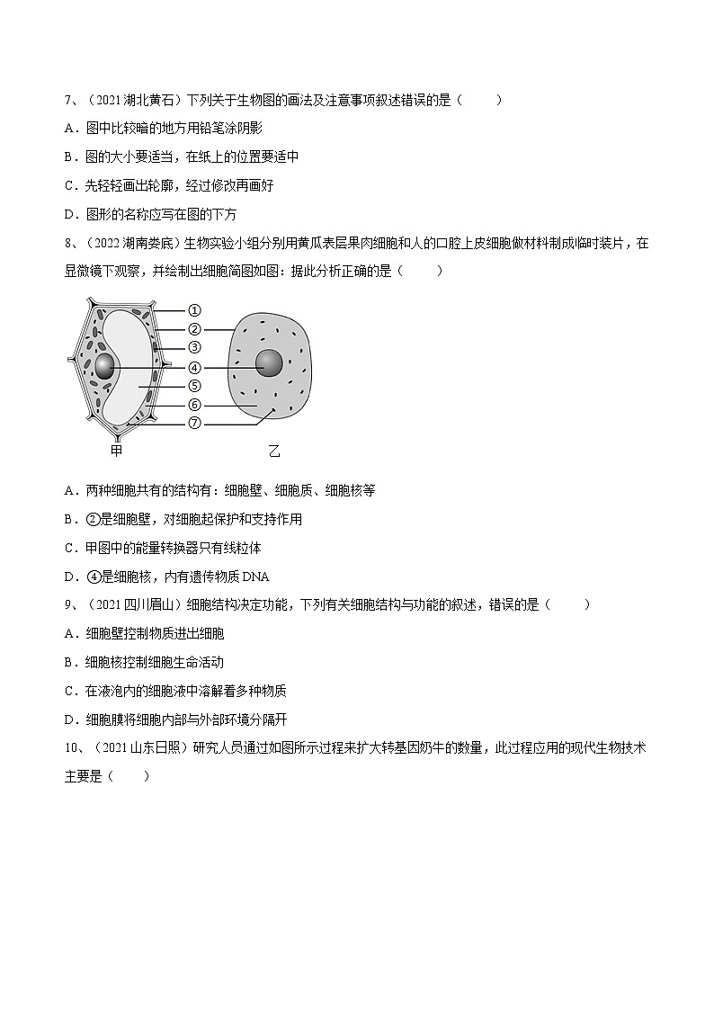 中考生物复习--专题02 细胞是生命活动的基本单位（原卷版解析版）第3页