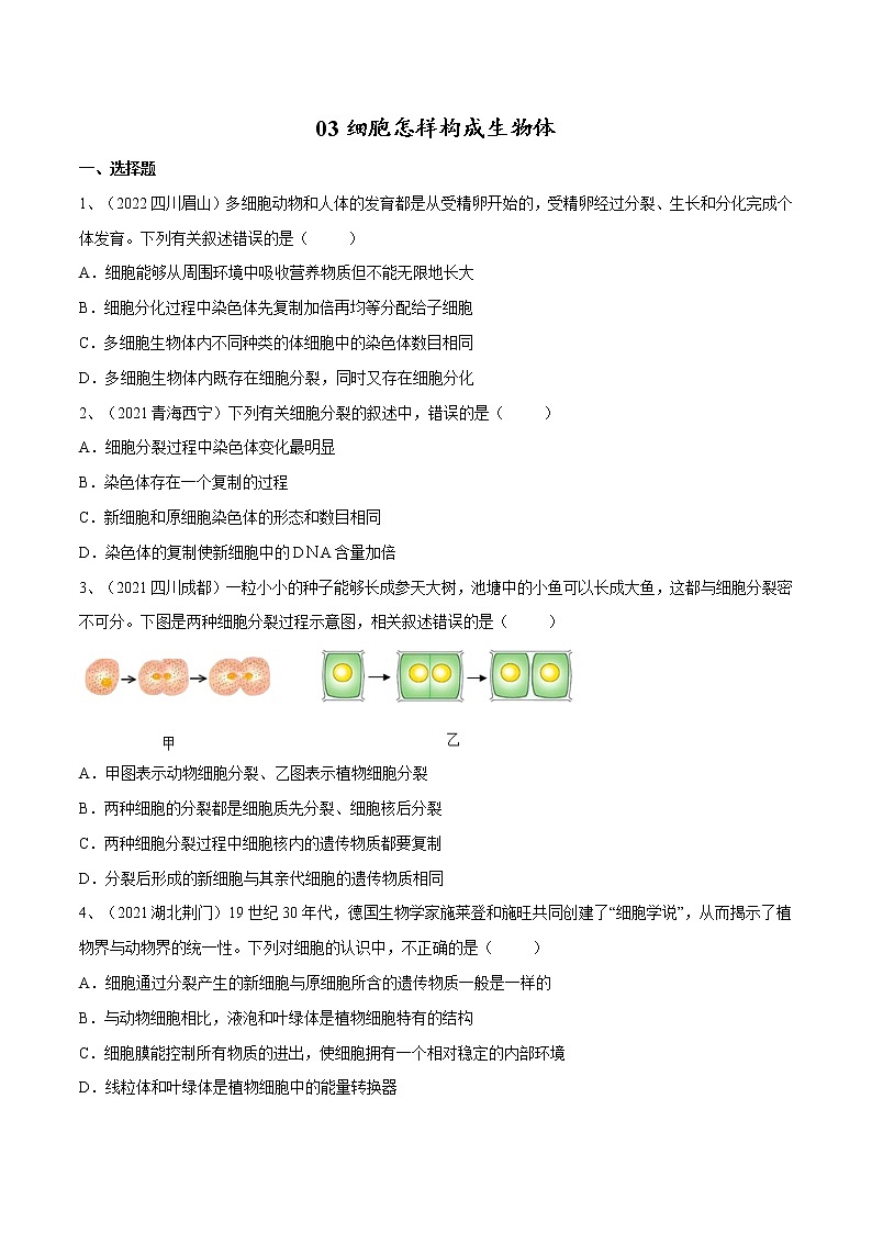 中考生物复习--专题03 细胞怎样构成生物体（原卷版解析版）01