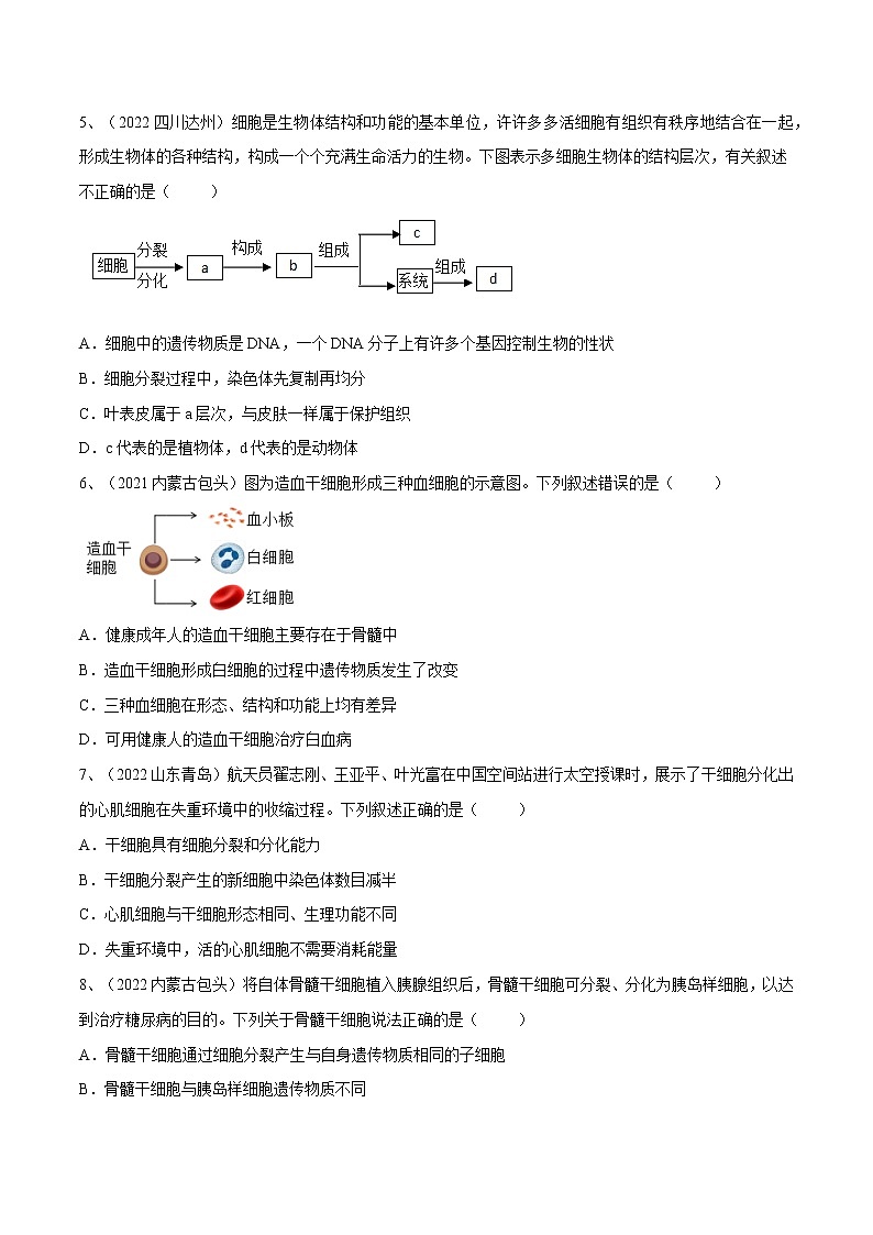 中考生物复习--专题03 细胞怎样构成生物体（原卷版解析版）02