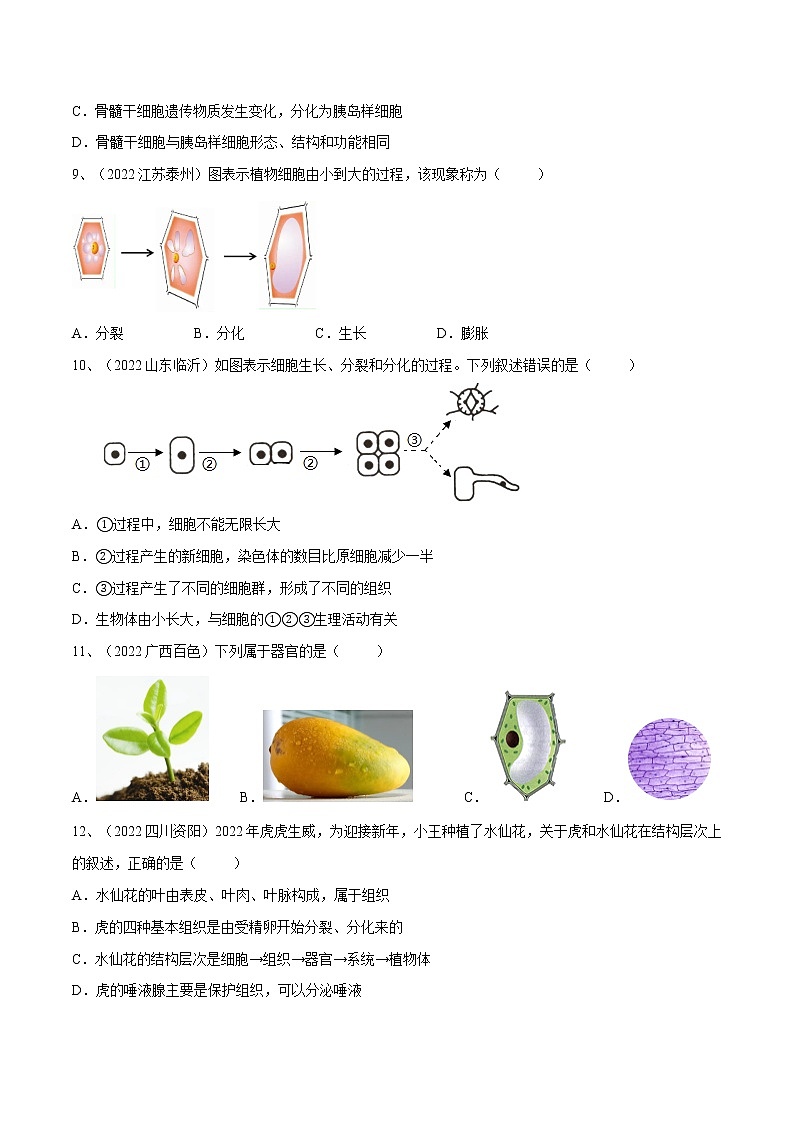 中考生物复习--专题03 细胞怎样构成生物体（原卷版解析版）03