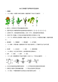 中考生物复习--专题04 生物圈中有哪些绿色植物（原卷版解析版）