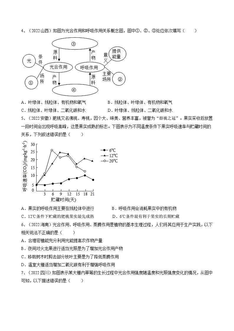 中考生物复习--专题08 绿色植物的呼吸作用（原卷版解析版）第2页