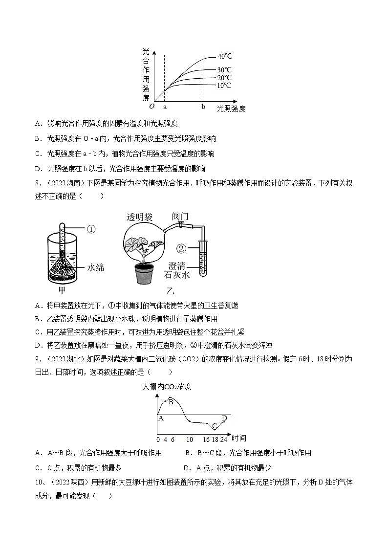 中考生物复习--专题08 绿色植物的呼吸作用（原卷版解析版）第3页