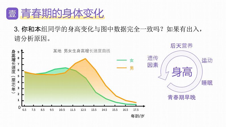 新人教版（新课标）生物七下：1.3《青春期》课件+教案08