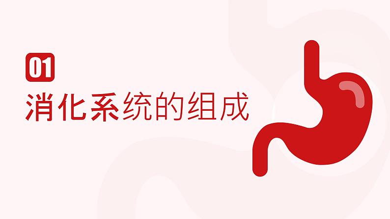 新人教版（新课标）生物七下：2.2《消化和吸收》课件+教案04