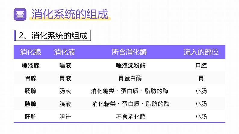 新人教版（新课标）生物七下：2.2《消化和吸收》课件+教案08