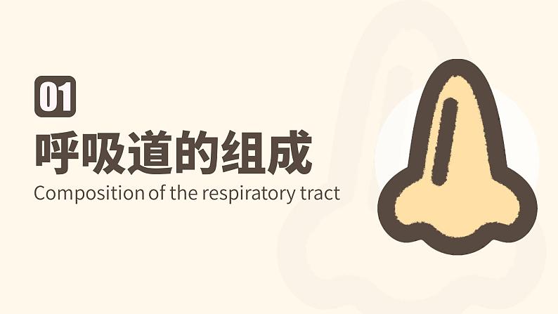 新人教版（新课标）生物七下：3.1《呼吸道对空气的处理》课件+教案03