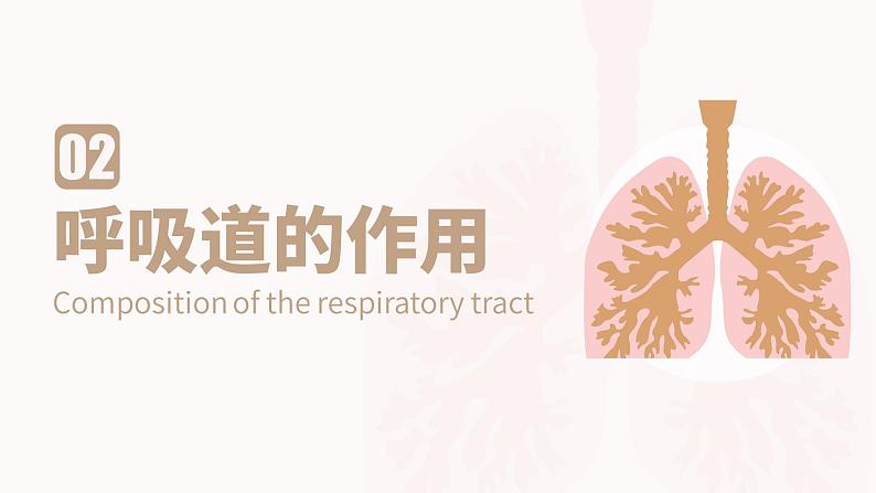 新人教版（新课标）生物七下：3.1《呼吸道对空气的处理》课件+教案06