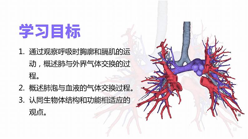 3.2 发生在肺内的气体交换-课件第2页