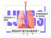 新人教版（新课标）生物七下：3.2《发生在肺内的气体交换》课件+教案