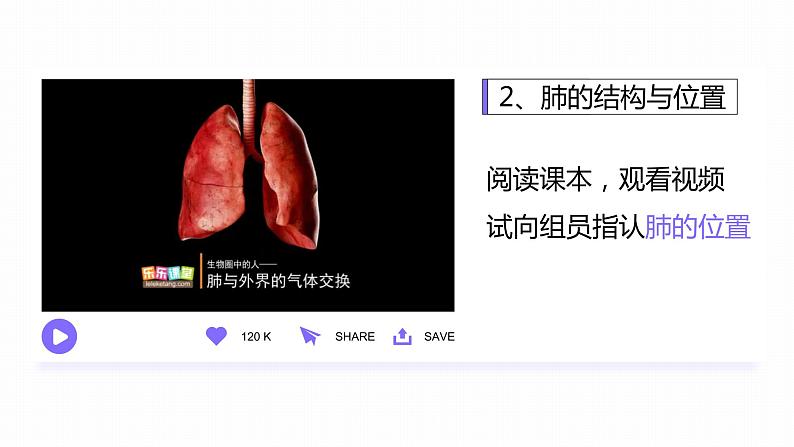 3.2 发生在肺内的气体交换-课件第6页