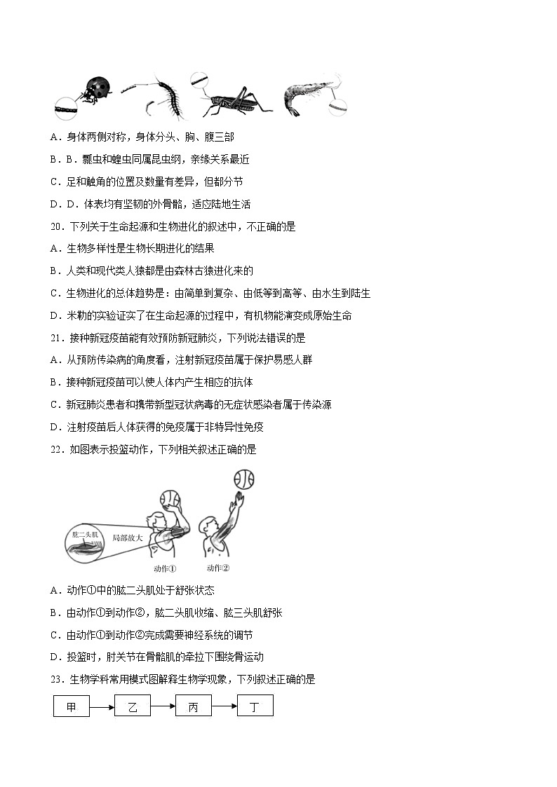 生物（福建卷）-学易金卷：2023年中考第一次模拟考试卷03