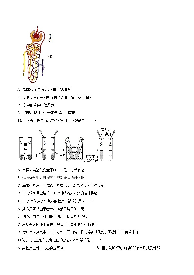 生物（广东卷）-学易金卷：2023年中考第一次模拟考试卷03