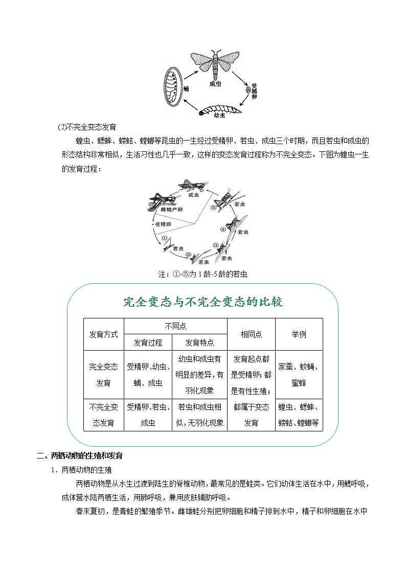 中考生物考点一遍过 考点38  昆虫和两栖动物的生殖和发育第2页
