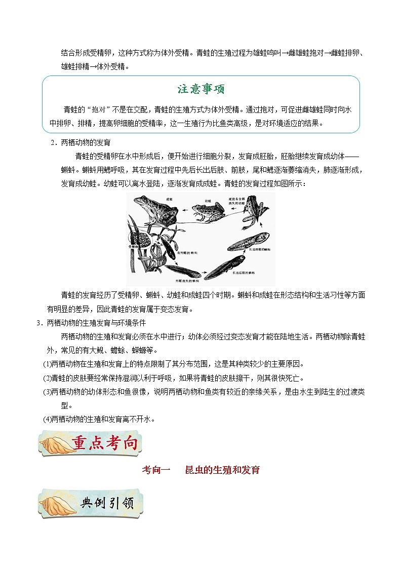 中考生物考点一遍过 考点38  昆虫和两栖动物的生殖和发育第3页