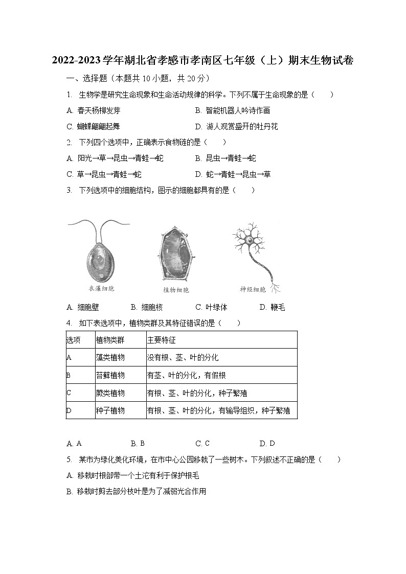 2022-2023学年湖北省孝感市孝南区七年级（上）期末生物试卷（含解析）第1页