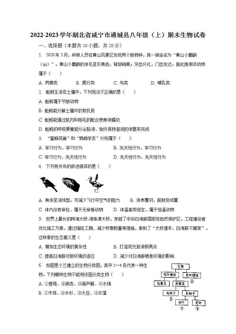 2022-2023学年湖北省咸宁市通城县八年级（上）期末生物试卷（含解析）01