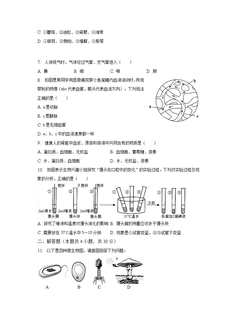 2022-2023学年湖北省咸宁市通城县八年级（上）期末生物试卷（含解析）02