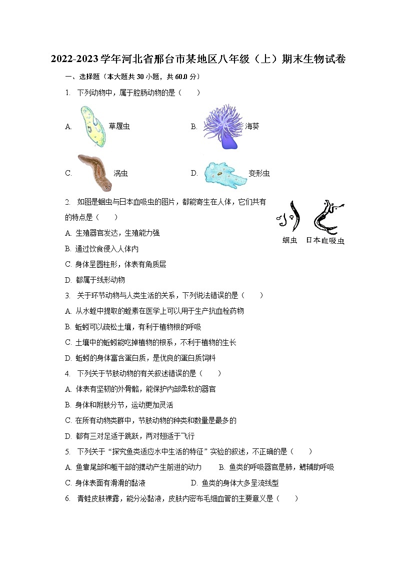2022-2023学年河北省邢台市某地区八年级（上）期末生物试卷（含解析）第1页