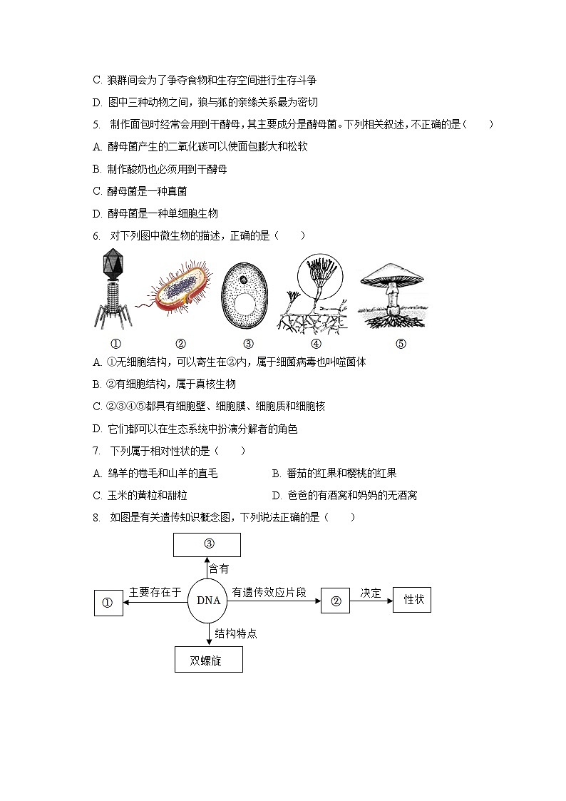 2022-2023学年湖北省十堰市郧西县八年级（上）期末生物试卷（含解析）02