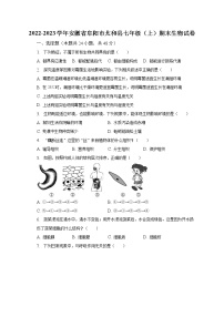 2022-2023学年安徽省阜阳市太和县七年级（上）期末生物试卷（含解析）
