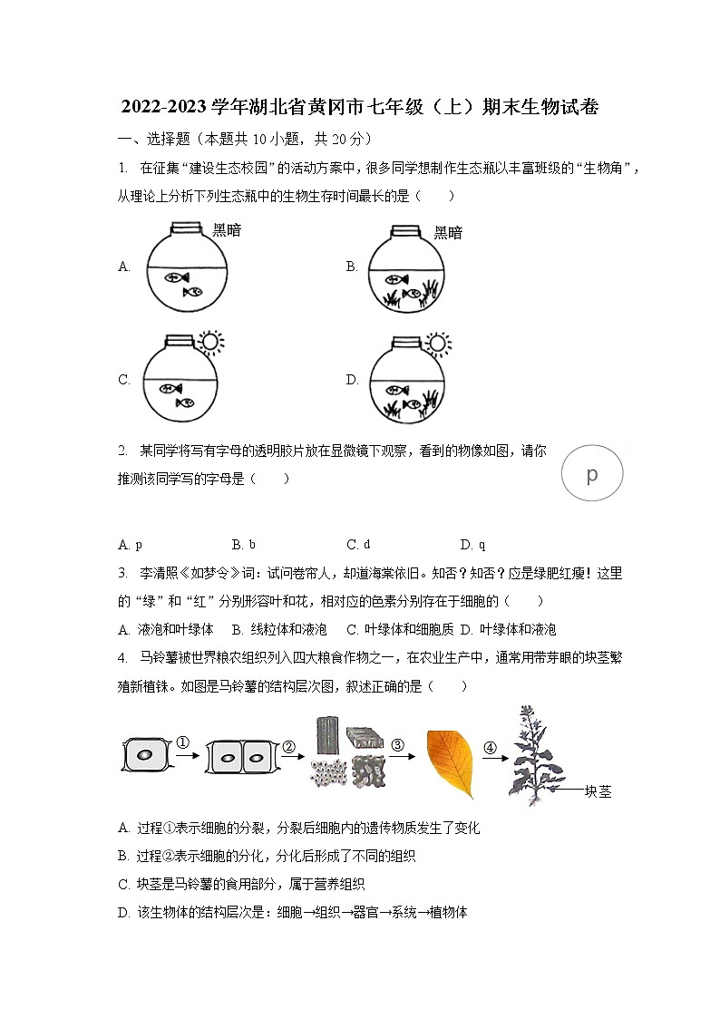 2022-2023学年湖北省黄冈市七年级（上）期末生物试卷（含解析）第1页