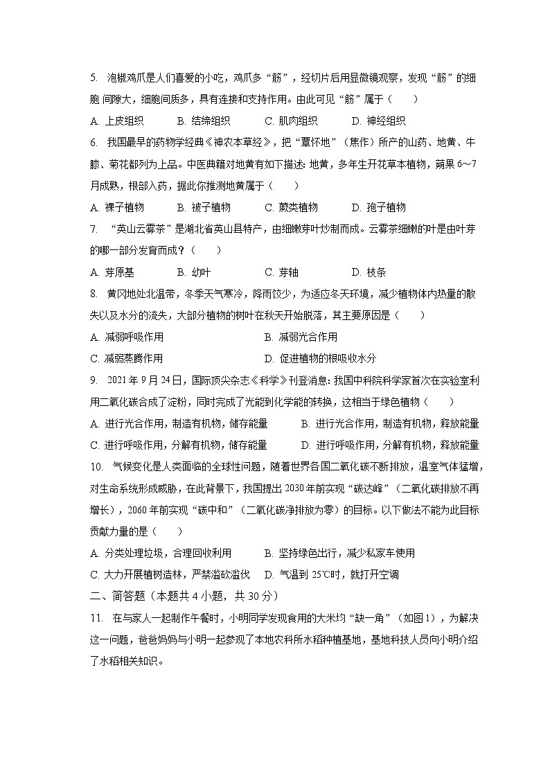 2022-2023学年湖北省黄冈市七年级（上）期末生物试卷（含解析）第2页