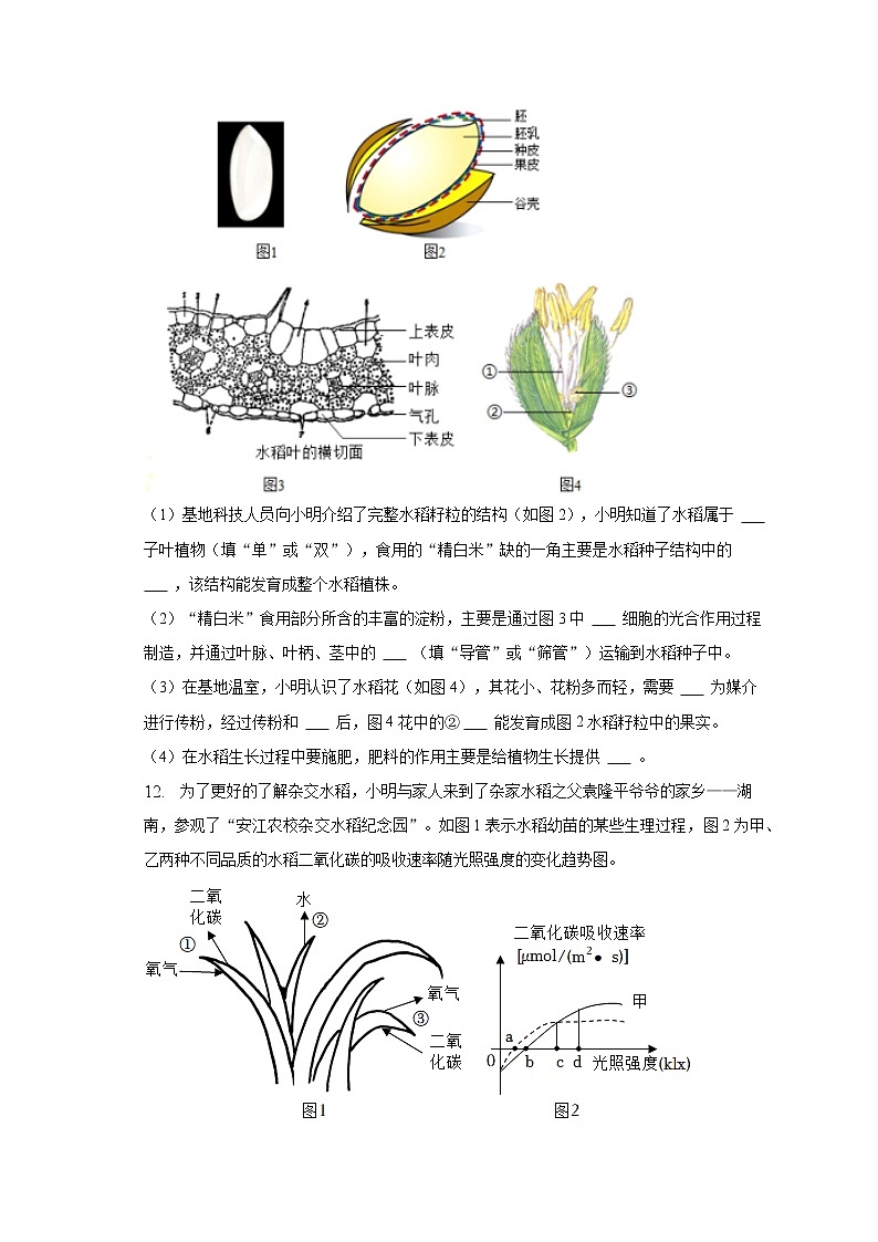 2022-2023学年湖北省黄冈市七年级（上）期末生物试卷（含解析）第3页