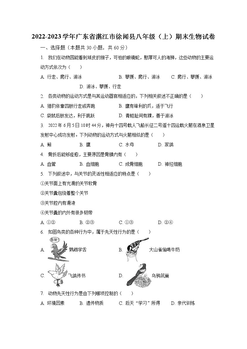 2022-2023学年广东省湛江市徐闻县八年级（上）期末生物试卷（含解析）01