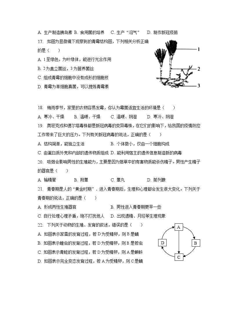 2022-2023学年广东省湛江市徐闻县八年级（上）期末生物试卷（含解析）03