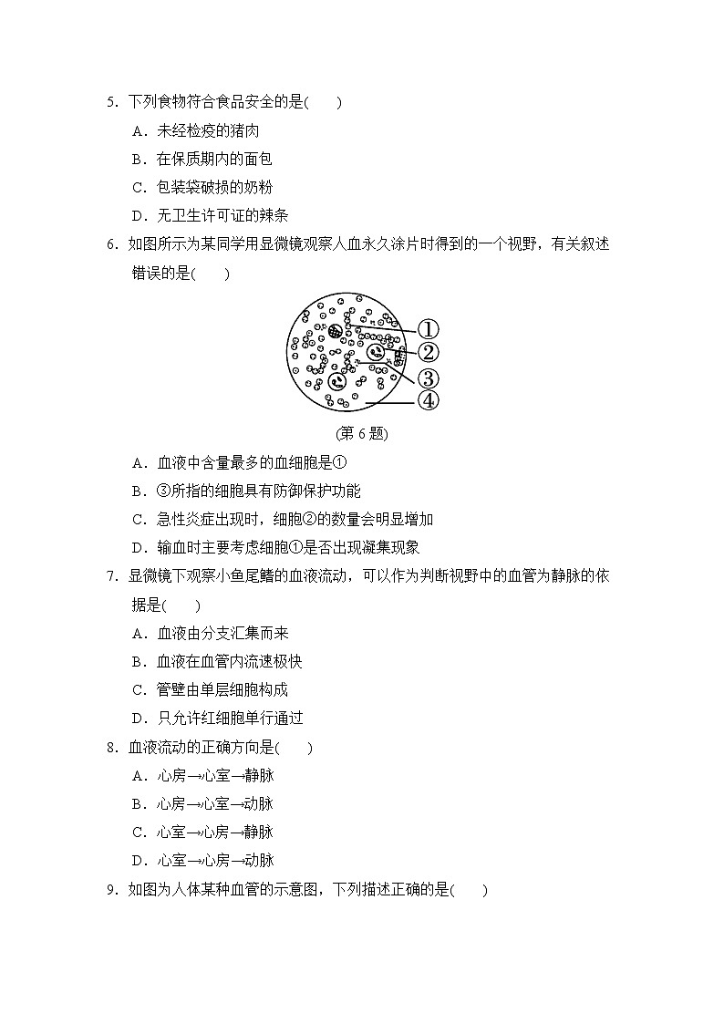 人教版中考生物一轮复习--阶段测试卷二 (人体生理与健康)第2页